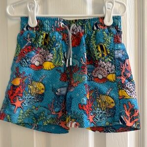Boys Boardies Swimshorts 3 4